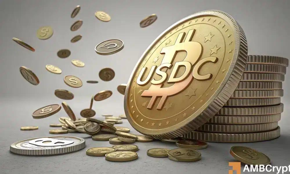 USDC供应量达到20亿美元- 投资者是否对比特币持谨慎态度?